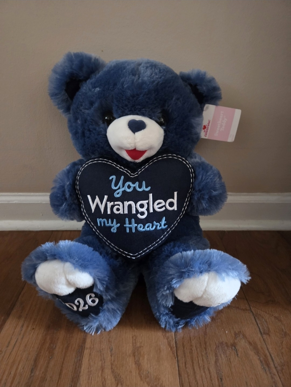 Valentines Day Plush Bear You Wrangled My Heart 2026 NWT